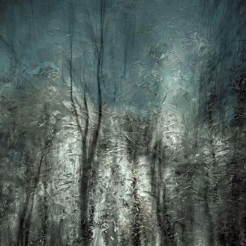 Frozen Frost Wood White Modern Wood Framed Art Print by Claes, Gilbert