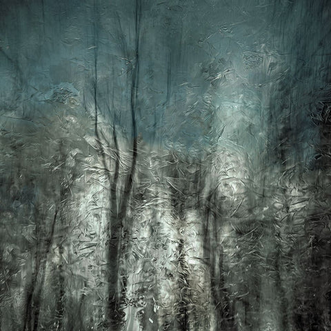 Frozen Frost Wood White Modern Wood Framed Art Print with Double Matting by Claes, Gilbert