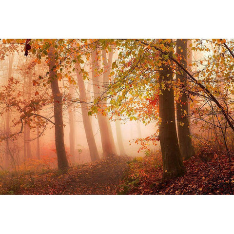 Calm Walk In Colors. Black Modern Wood Framed Art Print with Double Matting by Londal, Leif