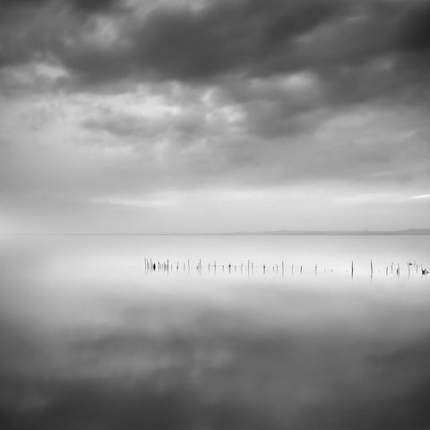 Sixty Shades Of Gray White Modern Wood Framed Art Print with Double Matting by Digalakis, George