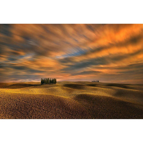 Cypresses... Black Modern Wood Framed Art Print with Double Matting by Browko, Krzysztof