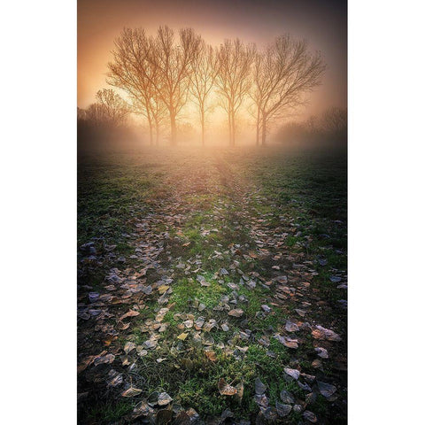 Misty Morning Gold Ornate Wood Framed Art Print with Double Matting by Rebustini, Luca