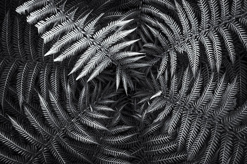 Untitled 56 White Modern Wood Framed Art Print with Double Matting by E. Karcz, Gary