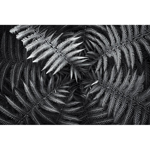 Untitled 56 Black Modern Wood Framed Art Print with Double Matting by E. Karcz, Gary