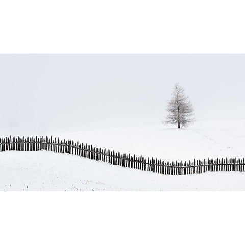 The Larch Behind The Fence Gold Ornate Wood Framed Art Print with Double Matting by Miribung, Vito