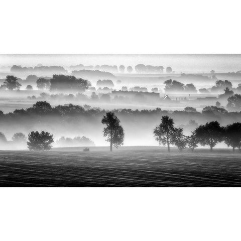 Morning View Black Modern Wood Framed Art Print by Krol, Piotr