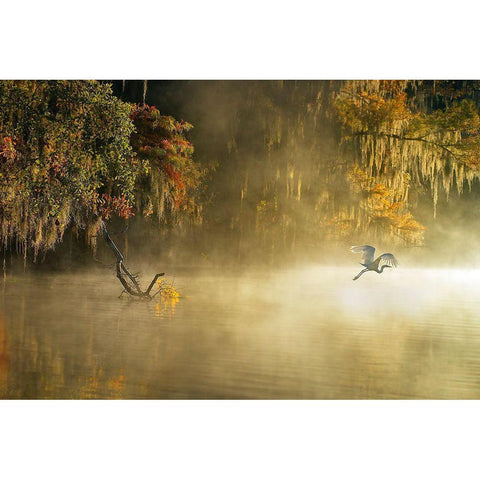 Egret Gold Ornate Wood Framed Art Print with Double Matting by Zhu, Hua