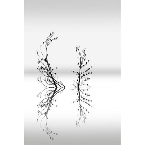 Dreamland 03 Black Modern Wood Framed Art Print by Digalakis, George