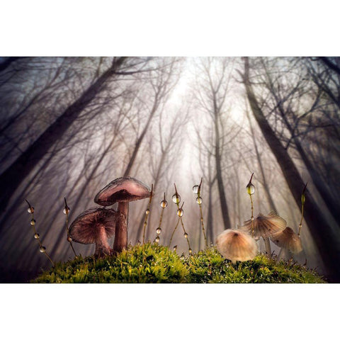 Small And Giant Creatures Of The Woods Black Modern Wood Framed Art Print with Double Matting by Ghizzi Panizza, Alberto