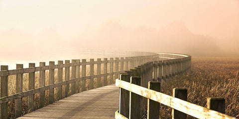 The Path Gets Brighter. Black Ornate Wood Framed Art Print with Double Matting by Londal, Leif