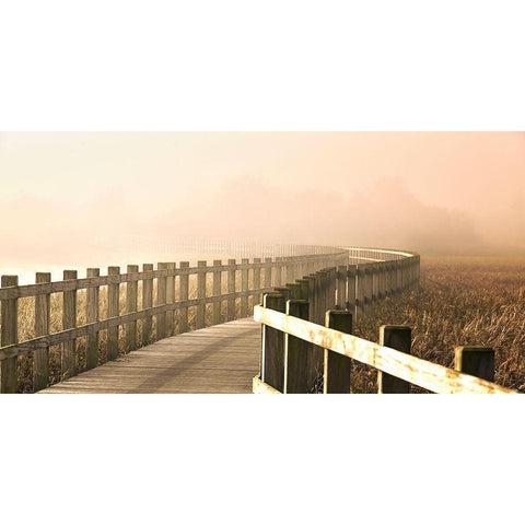 The Path Gets Brighter. Black Modern Wood Framed Art Print by Londal, Leif