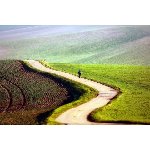 Bicyclist Black Modern Wood Framed Art Print by Krol, Piotr