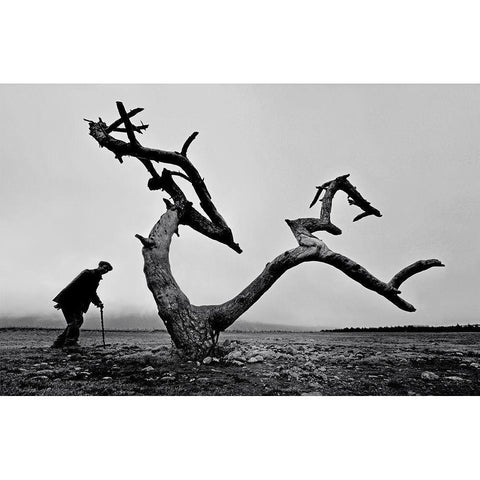 Old Man And Tree Black Modern Wood Framed Art Print by Tang, Wei