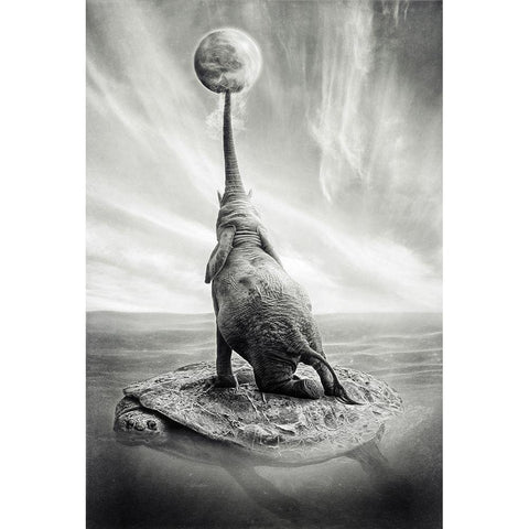 Genesis White Modern Wood Framed Art Print by Maria Perez, Jose