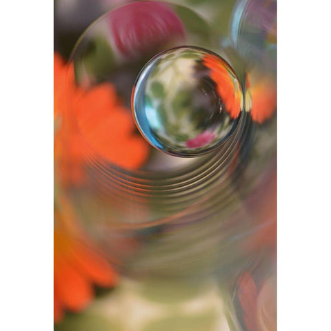 Floral Sphere White Modern Wood Framed Art Print by Westum, Heidi