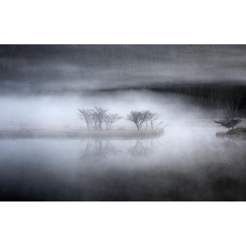 Mysterious Pond Gold Ornate Wood Framed Art Print with Double Matting by Araya, Teruo