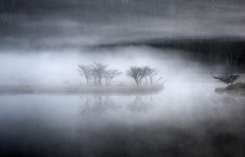 Mysterious Pond White Modern Wood Framed Art Print with Double Matting by Araya, Teruo