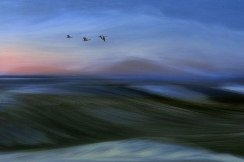 Migrants White Modern Wood Framed Art Print with Double Matting by Emanuelson, Bjorn