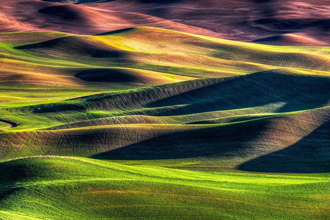 Spring Palette White Modern Wood Framed Art Print with Double Matting by Smith, Siana