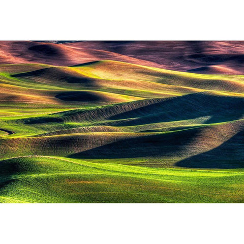 Spring Palette White Modern Wood Framed Art Print by Smith, Siana