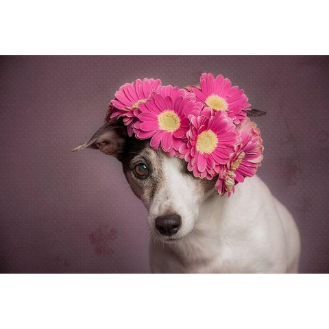 Mrs. Spring Gold Ornate Wood Framed Art Print with Double Matting by Willers, Heike