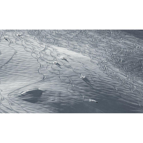 Powland White Modern Wood Framed Art Print by Trevillot, Benjamin