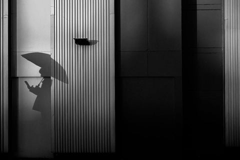 The Shadow Side Black Ornate Wood Framed Art Print with Double Matting by Hashimoto, Tetsuya