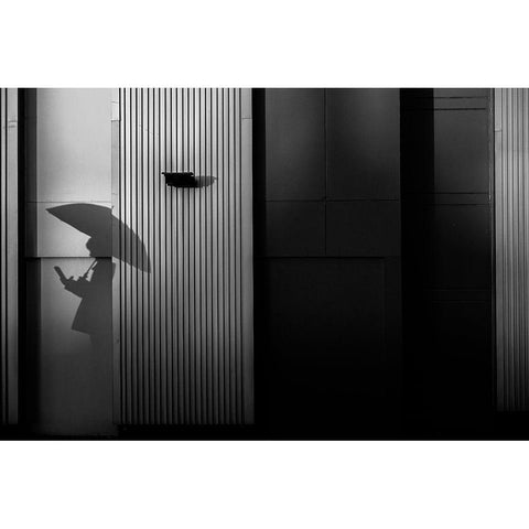 The Shadow Side Black Modern Wood Framed Art Print by Hashimoto, Tetsuya