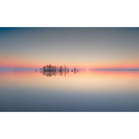 Lake Mattamuskeet Memory White Modern Wood Framed Art Print by Yu, Liyun