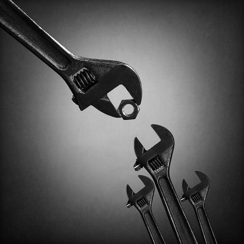 The Nestlings 2. Qthe Natural Selectionq Or Qthe Cuckoo Birdq Black Ornate Wood Framed Art Print with Double Matting by Ivanova, Victoria