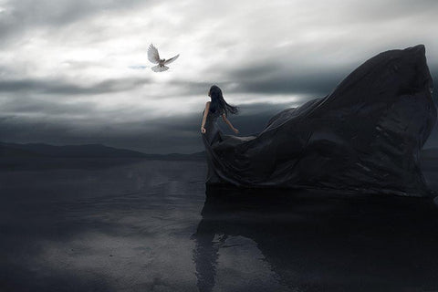 Fly To You White Modern Wood Framed Art Print with Double Matting by F, Terry