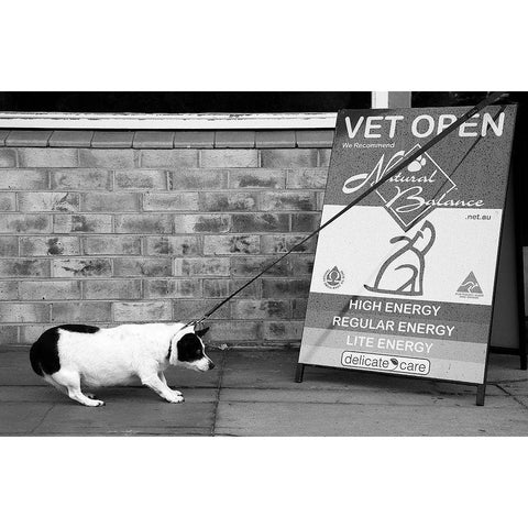 No-No.....Definitely No....! Black Modern Wood Framed Art Print by Gugeri, Deborah