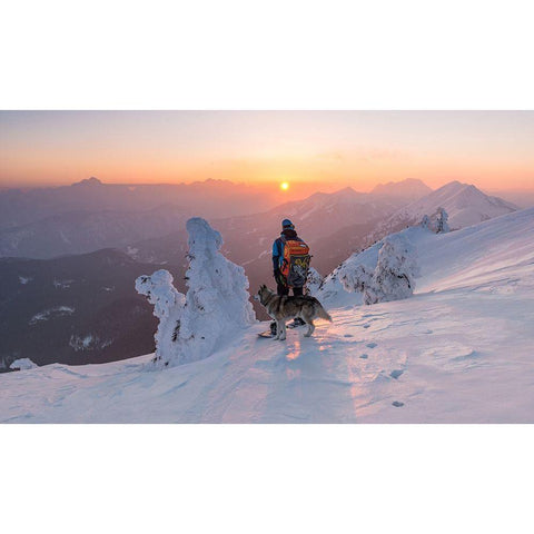 Snowboarder And His Dog White Modern Wood Framed Art Print by Krivec, Ales