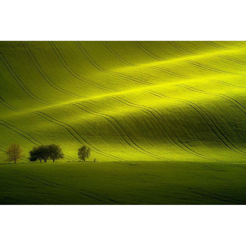 Sunlight White Modern Wood Framed Art Print by Banny, Peter