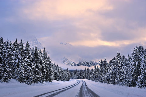 To The Wonderland White Modern Wood Framed Art Print with Double Matting by Xu, Mei