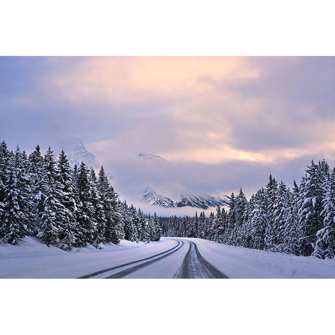 To The Wonderland White Modern Wood Framed Art Print by Xu, Mei