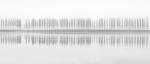 Misty Alley Black Ornate Wood Framed Art Print with Double Matting by Fotoea