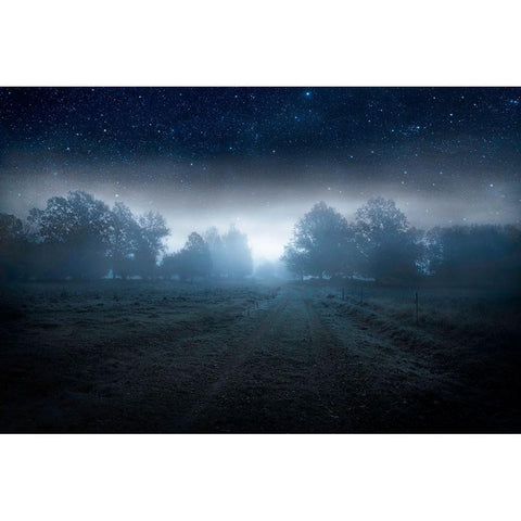 Visions Of The Night Black Modern Wood Framed Art Print by Lindsten, Christian