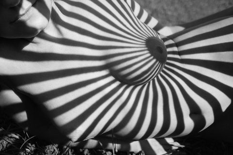 Target White Modern Wood Framed Art Print with Double Matting by Faletkin, Mikhail