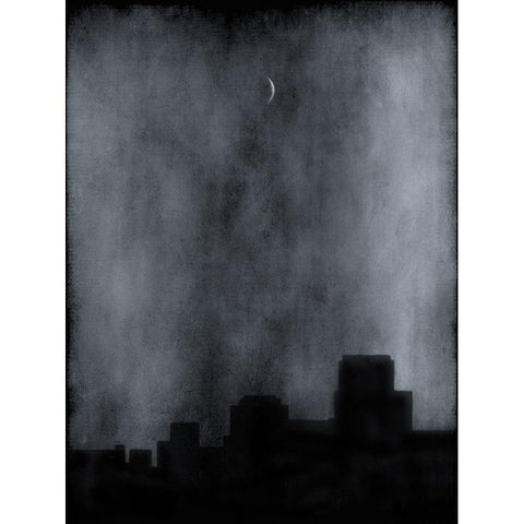 Sliver Black Modern Wood Framed Art Print with Double Matting by Hummel, Jeffrey