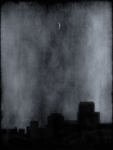 Sliver Black Ornate Wood Framed Art Print with Double Matting by Hummel, Jeffrey