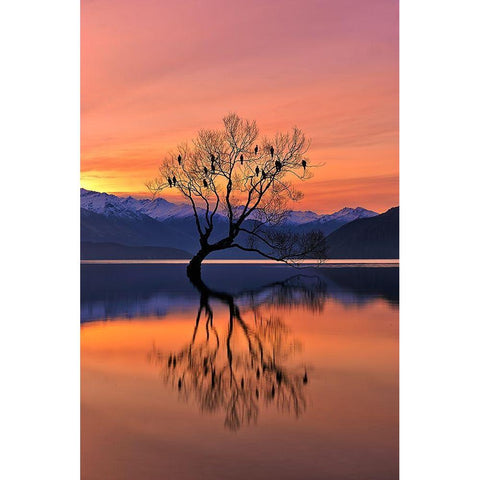 Lone Tree Is Not Lonely Black Modern Wood Framed Art Print with Double Matting by Xu, Mei