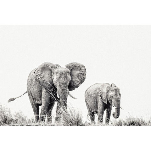 Purring Silence Gold Ornate Wood Framed Art Print with Double Matting by Flour, Piet