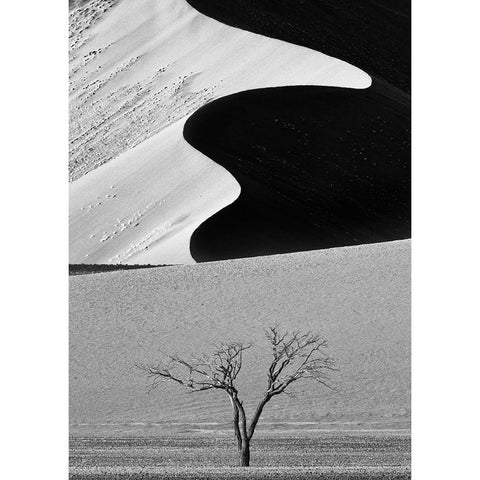 Dune Curves Black Modern Wood Framed Art Print with Double Matting by Khataw, Ali