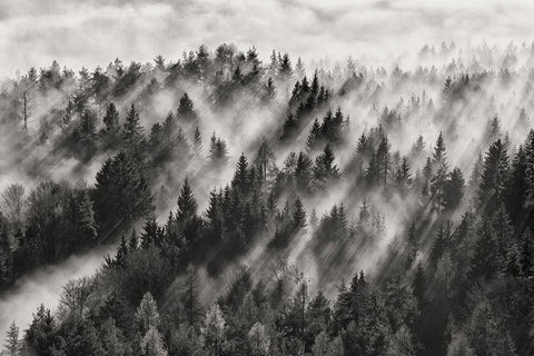 Sundance No.1 White Modern Wood Framed Art Print with Double Matting by Baloh, Davorin