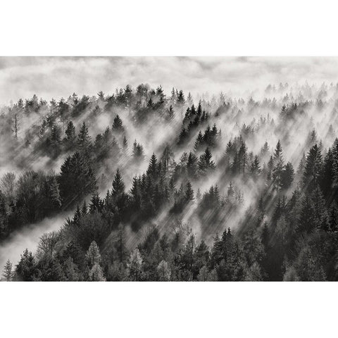 Sundance No.1 Black Modern Wood Framed Art Print by Baloh, Davorin