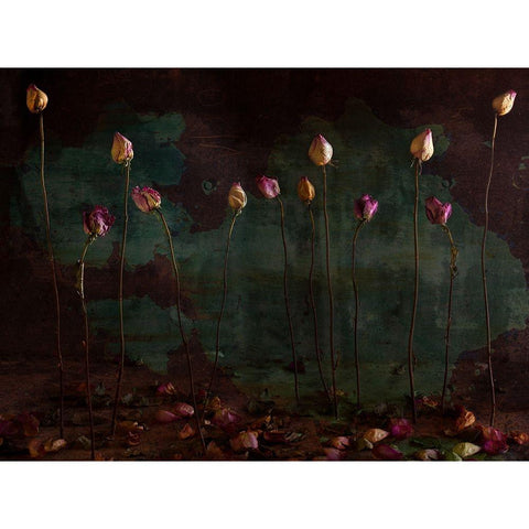 Lees Of Life White Modern Wood Framed Art Print by Nataly, Golubeva