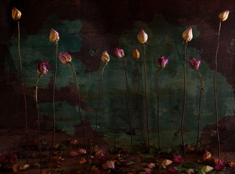 Lees Of Life White Modern Wood Framed Art Print with Double Matting by Nataly, Golubeva