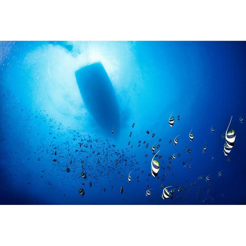 Storm Gold Ornate Wood Framed Art Print with Double Matting by Marchegiani, Roberto