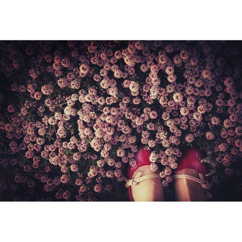 Thyme Carpet Black Modern Wood Framed Art Print with Double Matting by Fukaya, Takako